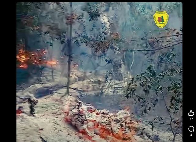 Incendiu în apropiere de satul Plauru, jud. Tulcea