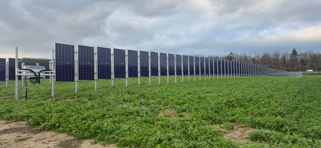 A fost elaborat un ghid de instalare a panourilor fotovoltaice în combinație cu culturile agricole