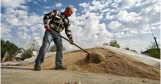 Ministrul Agriculturii anunță producții record obținute de fermierii noștri