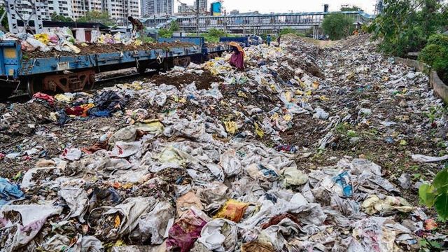 Foetus, Vestigial Organs Found Dumped In Glass Containers In Pune, Case Registered