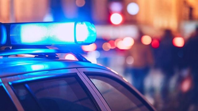 Nyomoz a rendőrség Merkely fiának cége támogatása ügyében