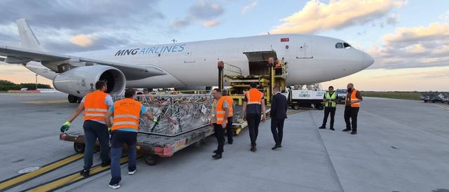 România livrează peste 4.000 de ovine în Algeria cu transport aerian, o premieră din punct de vedere logistic