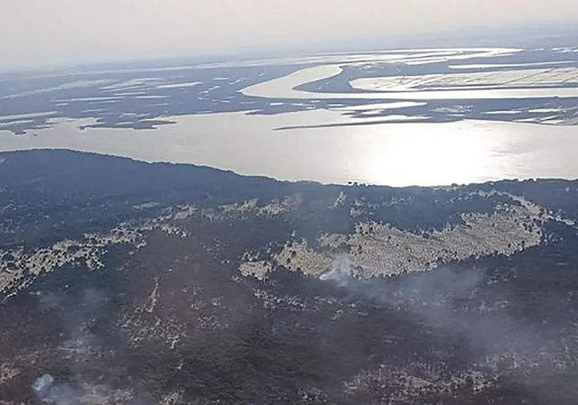 Un incendio en Doñana arrasa más de 300 hectáreas y obliga a desplegar un amplio operativo