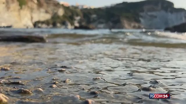 El Niño senza precedenti: è già record di caldo nel Pacifico mesi prima del picco. Così il global warming moltiplica il suo impatto