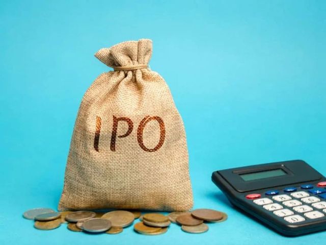 Vishal Mega Mart IPO: How to check allotment status online