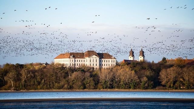 Holttestet találtak a tatai Öreg-tóban