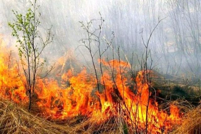Cod galben de pericol de incendiu, emis de meteorologi