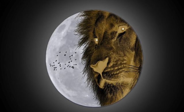 Horoscop Urania săptămânal pentru Leu. Previziuni pentru perioada 4 - 10 februarie 2023