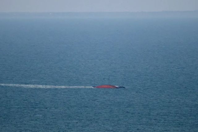 Nava lovită de ruși în 19 iulie, lângă Odesa, s-a scufundat. Era încărcată cu porumb