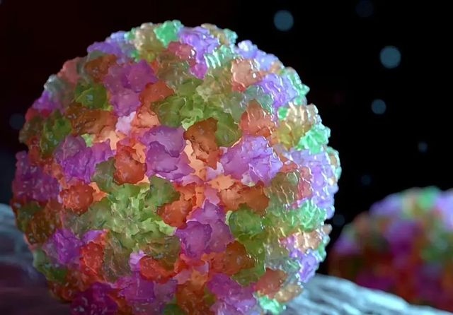 Así es el norovirus responsable del brote en el crucero de Burdeos