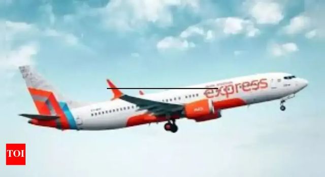 Bomb Threat Emails Sent To Major Airports Across India, Declared Hoax After Security Checks