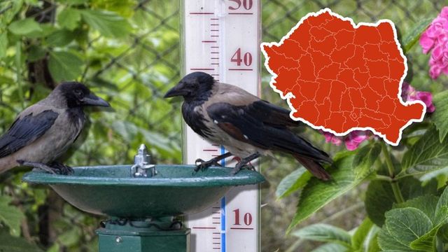 Cum va fi vremea în iulie, luna „lui Cuptor”
