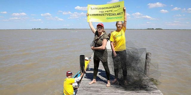 Felmentették Udvaros Dorottyát és a Greenpeace aktivistáit