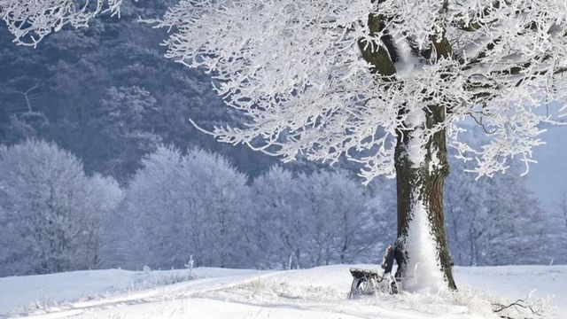 Austria așteaptă ca în sezonul de iarnă 2021-2022 numărul de turiști români să fie la 60-70% față de perioada de dinainte de pandemie