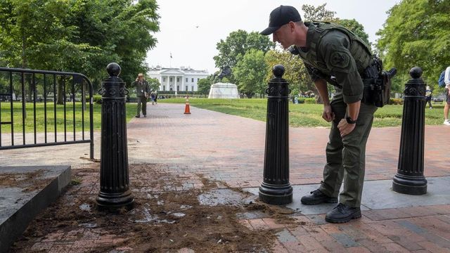 Man of Indian origin who rammed truck near White House in 2023 pleads guilty