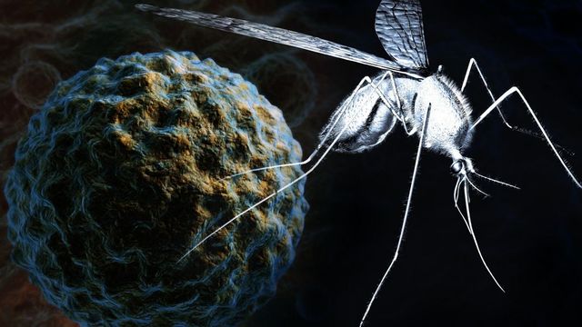 Institutul Național de Sănătate Publică: Șase cazuri de infecție cu virusul West Nile în acest sezon