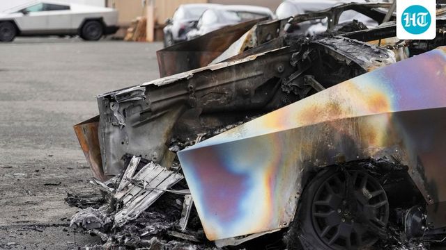 Indian-American entrepreneur tries to burn down winery, crashes Tesla into cars