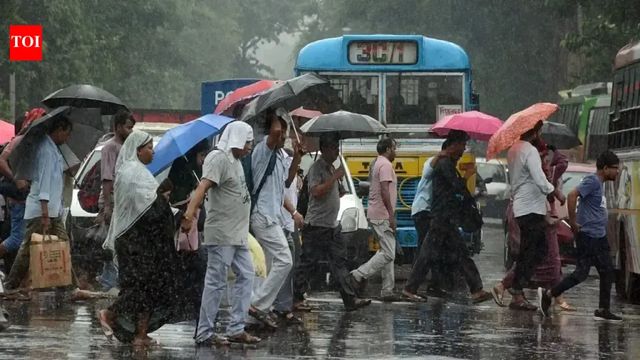 India to get below-normal rain in July, El Nino to grip monsoon