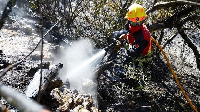 Tercer incendio forestal en la provincia de Alicante en menos de doce horas