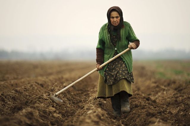 Ministrul Agriculturii anunță că România a obținut derogare de la Comisia Europeană și virează bani în avans fermierilor