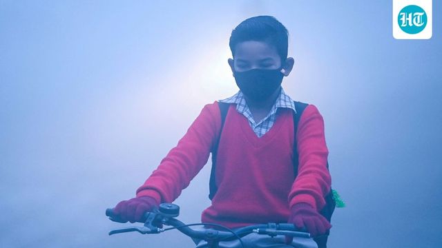 Delhi to install air purifiers in 10,000 classrooms amid deteriorating air quality