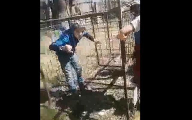 Copil băgat într-o cușcă metalică de colegii de clasă de la o școală din Bacău. Elevii sunt anchetați penal