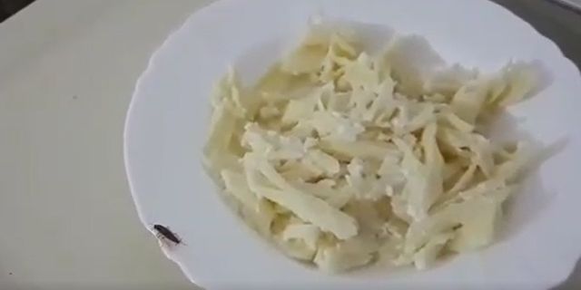 Imagini revoltătoare într-un spital din România. Un bolnav a filmat cum un gândac i se plimba în farfuria cu mâncare- Video