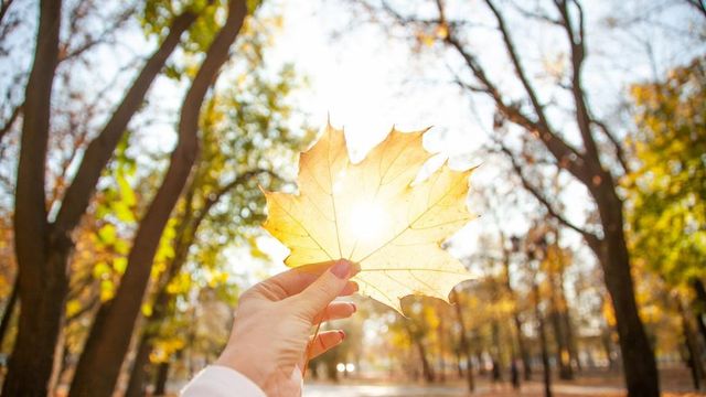 Meteorologii anunță vreme caldă și ploi puține în luna septembrie. ANM a publicat prognoza pentru următoarele 4 săptămâni
