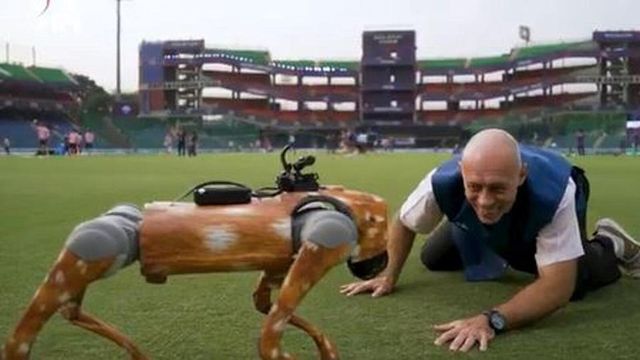 BCCI Sued After Naming IPL Robotic Dog 'Champak' - All You Need To Know