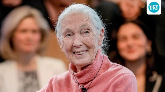Renowned British chimpanzee expert Jane Goodall dies at 91