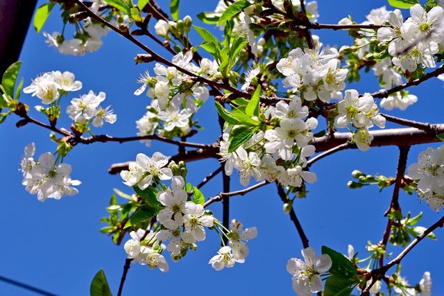 Cum va fi vremea în minivacanța de 1 Mai. Prognoza meteo pentru următoarele patru săptămâni