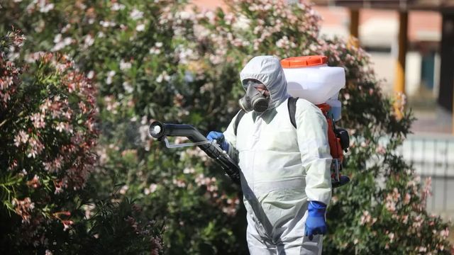 Andalucía reporta tres nuevos casos de virus del Nilo en Sevilla