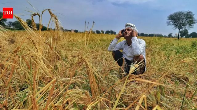 IMD forecasts below-average ‌monsoon rains for 2026 amid El Nino concerns