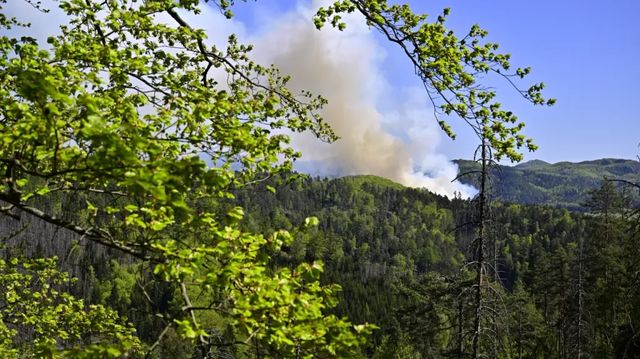 V národním parku České Švýcarsko hoří les, platí druhý stupeň poplachu