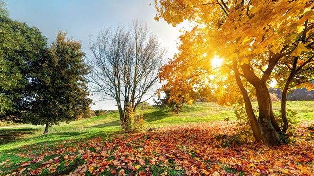 Vremea se menține stabilă: Astăzi ne bucurăm de cer variabil și temperaturi plăcute