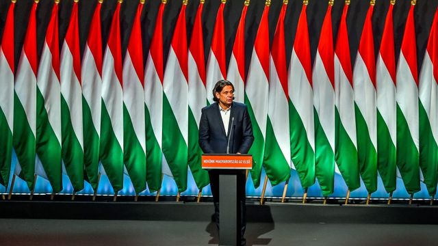 Országgyűlési képviselő lehet Deutsch Tamás