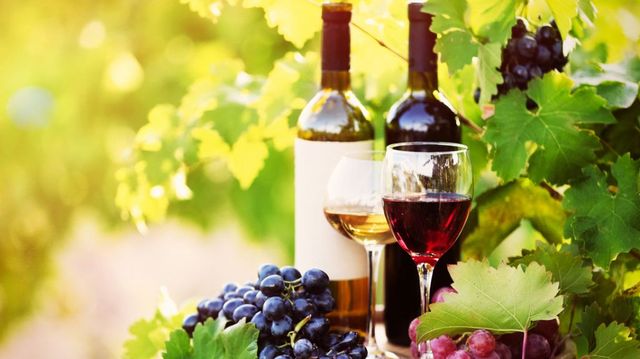 Decizie la Kiev – Ucraina ar putea introduce licențierea importului de vin, struguri și alcool tare din Republica Moldova