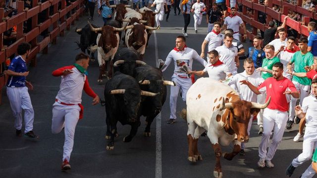 Siete heridos leves en el segundo encierro de San Sebastián de los Reyes