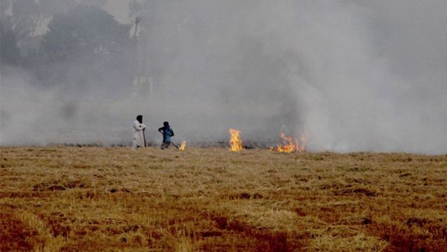 Asked Centre to persuade farmers not to burn stubble for a week: SC