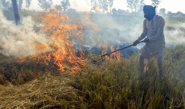 Stubble burning fines doubled to up to ₹30,000 based on farm area