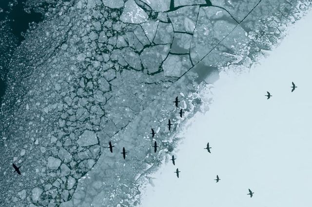 Elérte a biztonságos vastagságot, rá lehet menni a Balaton jegére a déli parton