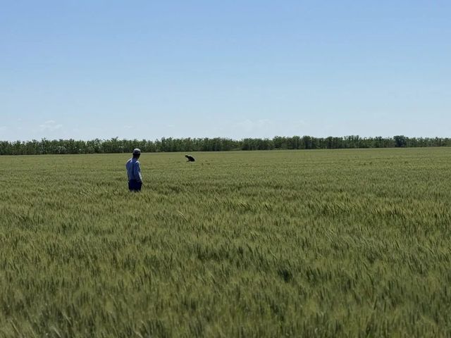 Guvernul a aprobat rambursarea accizei la motorina pentru fermieri în perioada 31 martie – 31 mai