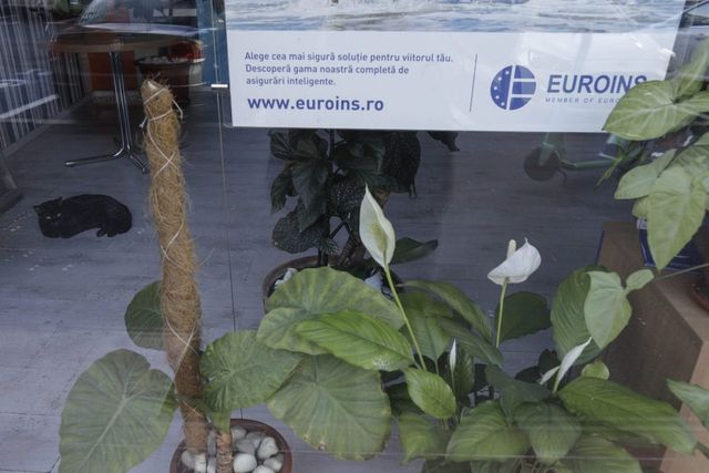 Percheziții la foștii șefi ai Euroins în dosarul falimentării societății de asigurări