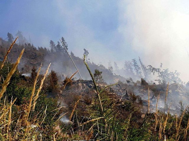 MApN a trimis două aeronave Spartan pentru stingerea incendiului din județul Mehedinți