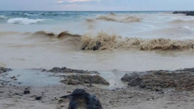 Poluare cu ulei vegetal în Marea Neagră, după atacurile efectuate de ruși asupra portului Odesa