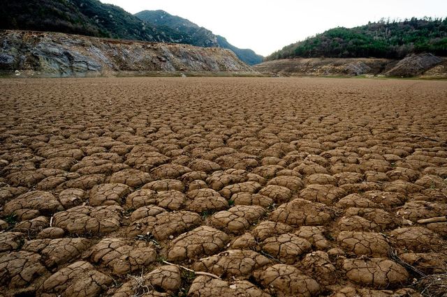 Anbi, fra 3 settimane niente acqua per i campi al Centrosud