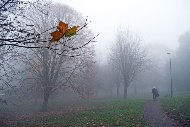 Apelul poliției către șoferi
