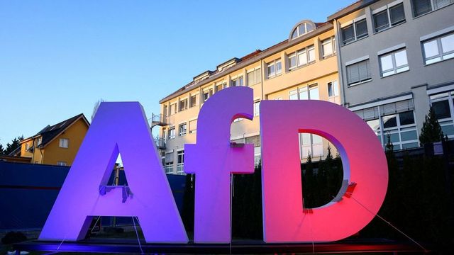 AfD v průzkumu k celoněmeckým volbách získala poprvé 30 procent