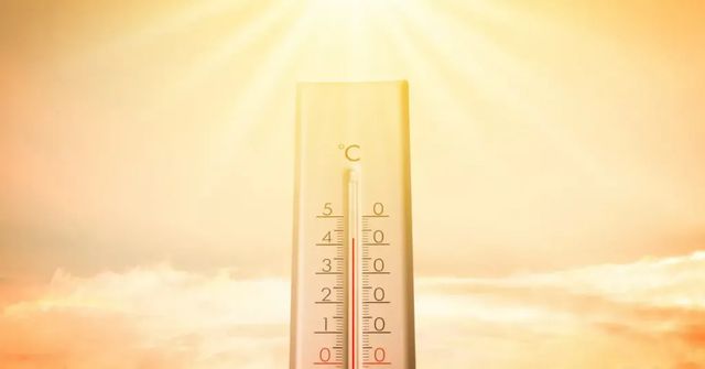 V Česku padl nový rekord nejvyšší naměřené teploty, v Doksanech bylo 40,6 stupně