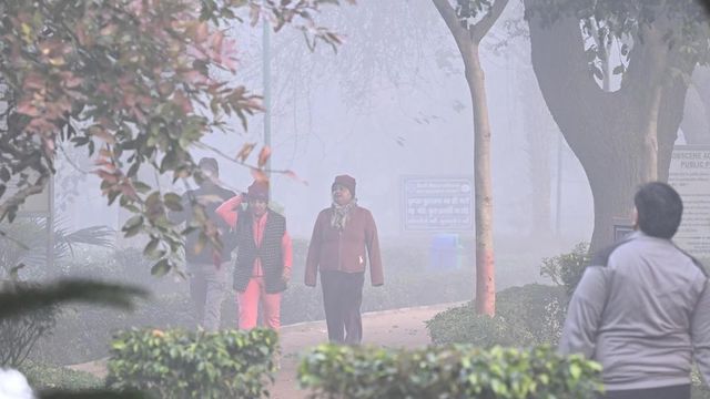 GRAP-4 restrictions revoked in Delhi-NCR as air quality improves marginally